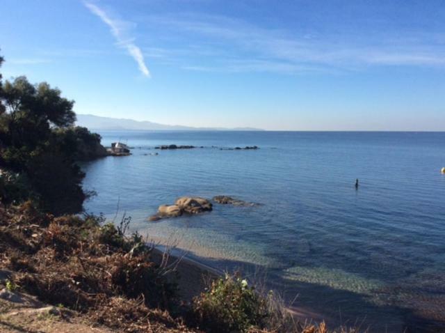 Villa D'Exception, Piscine, Vue Mer, Plage A 100M Ajaccio  Kültér fotó